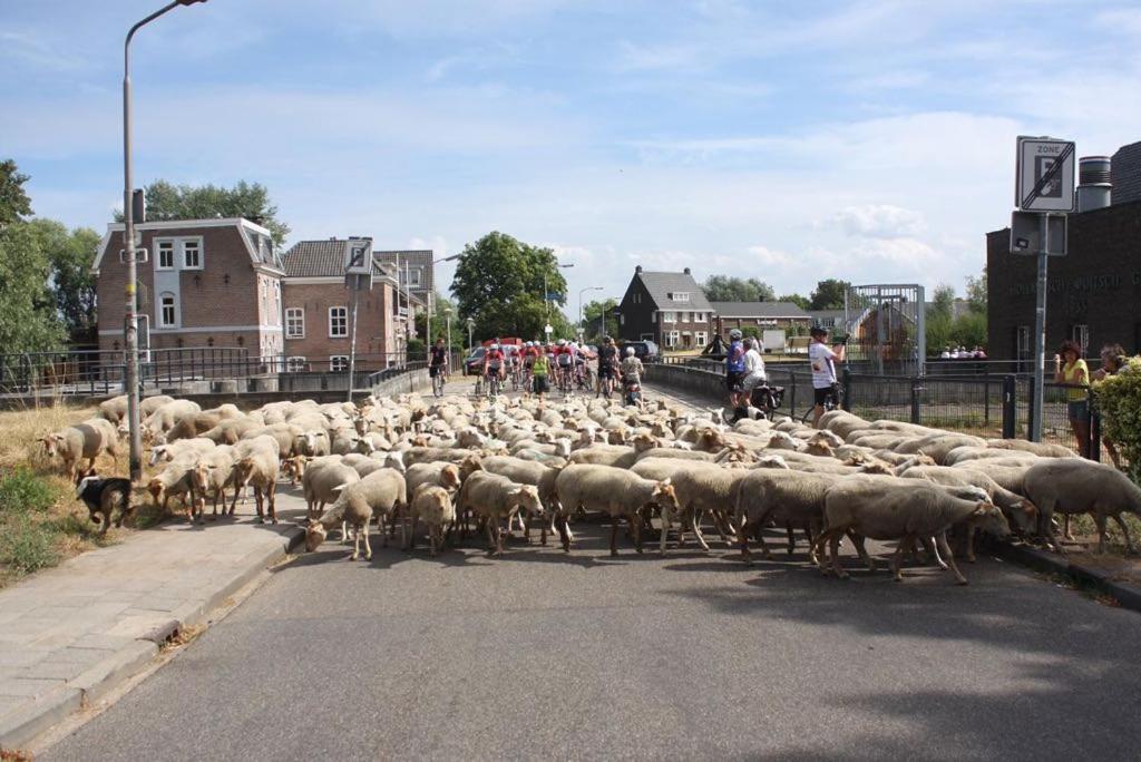 B&B Appartementen Smedery Nijmegen Kültér fotó